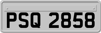 PSQ2858