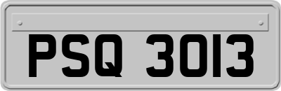 PSQ3013