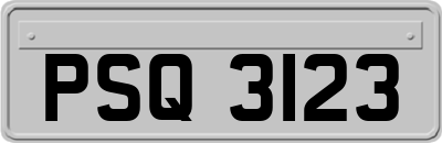 PSQ3123