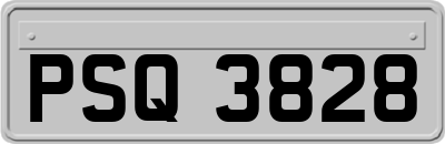 PSQ3828