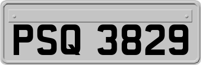PSQ3829