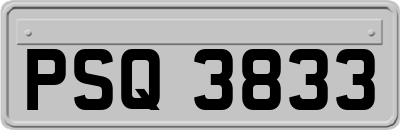 PSQ3833