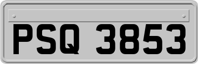 PSQ3853