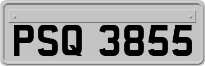 PSQ3855
