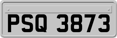 PSQ3873