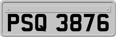 PSQ3876
