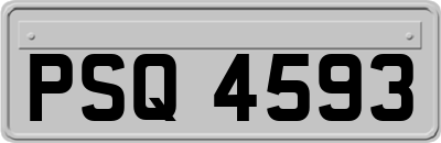PSQ4593
