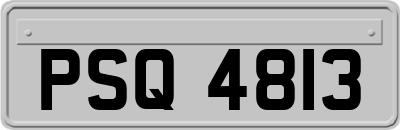 PSQ4813