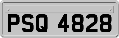 PSQ4828