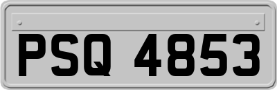 PSQ4853