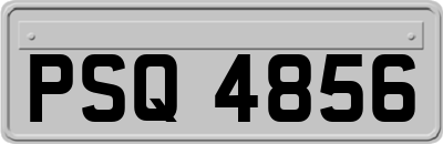 PSQ4856