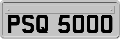PSQ5000