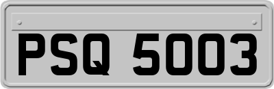 PSQ5003