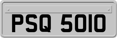 PSQ5010