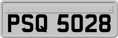 PSQ5028