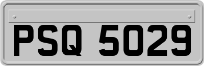 PSQ5029