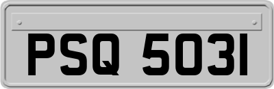 PSQ5031
