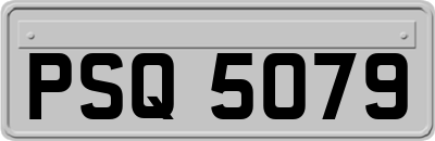 PSQ5079