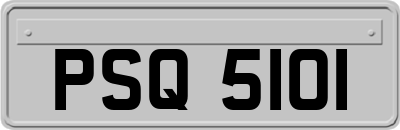 PSQ5101
