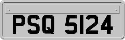 PSQ5124