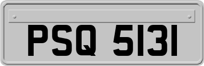 PSQ5131