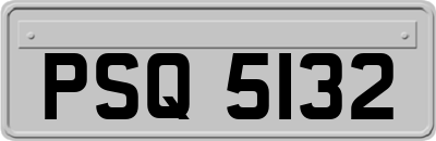 PSQ5132