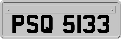 PSQ5133