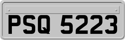 PSQ5223