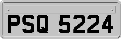 PSQ5224