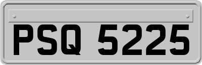 PSQ5225