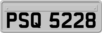 PSQ5228