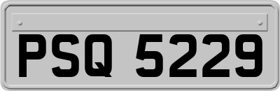 PSQ5229