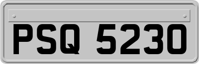 PSQ5230