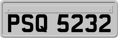 PSQ5232