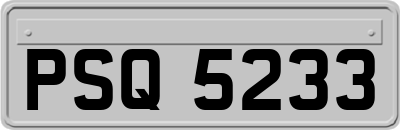 PSQ5233