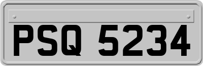 PSQ5234