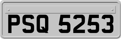 PSQ5253