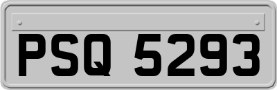PSQ5293