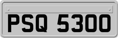 PSQ5300