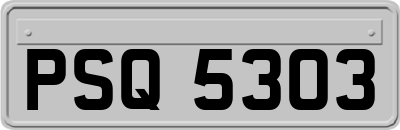 PSQ5303