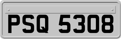 PSQ5308