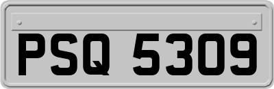 PSQ5309