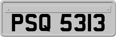 PSQ5313