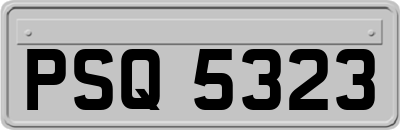 PSQ5323