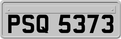 PSQ5373