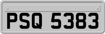 PSQ5383