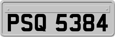 PSQ5384