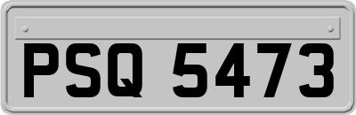 PSQ5473