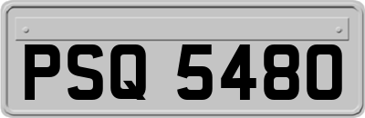 PSQ5480