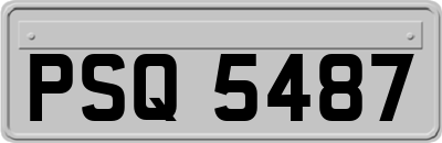 PSQ5487